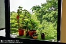 近市区艺术家环境-空调大房间出租999新币