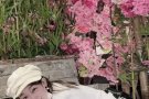 hi，大家好，我叫YiYi