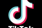 Tiktok助理员