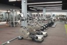 SG新加坡健身免费体验/试课