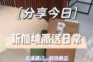 中国→新加坡，海运、空运