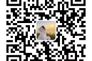 专注办理新加坡，老雇主订单大量更新，微信详询zx22962019