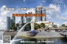 广州海运到新加坡散货拼箱双清到门服务