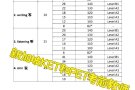 KET/PET考前私人教学