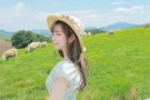 电工焊工合集     新加坡靠谱劳务公司   微信：17643110511