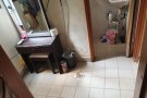 乌节路，高级公寓，男二人间，寻一位男搭，