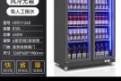 新款双开除雾门三色灯冰柜