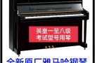 新加坡雅马哈原厂全新考试型号钢