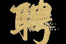 兴趣爱好老师