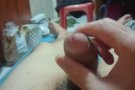 想找女炮友