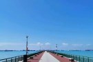 公寓：Laguna Park 在Siglap实乞纳地铁站 普通房 单人房 出租