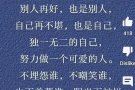 征寻性爱伴侣