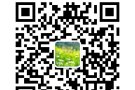 女人兼职，长期有效