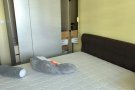 YISHUN新组屋普通房出租限1名,请勿扰需要煮饭/小煮的朋友，谢谢！