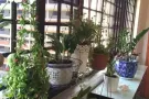可报地址！无中介费！蔡厝港普通大房间招租，交通便利 环境优美