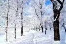 招聘家私木工   综合薪水1800-2000   加QQ/微信862226397