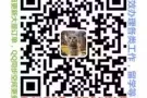 3.4.5号司机单，每日大量更新，不成功不收费的正规资质公司
