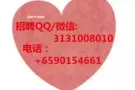 钣金喷漆 招聘QQ3131008010
