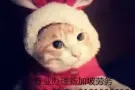 大型酒楼招男服务员2名 月薪1800-2000新币 招聘QQ3131008010