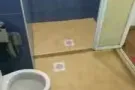 近牛车水 欧南园 landmark tower 泳池公寓 普通房 出租