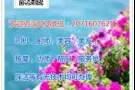 女工厂，服务员，普工，质检等QQ微信：2071607625
