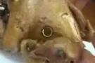 祖传秘方卤肉 欢迎订购98957560