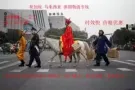 广州海运空运至新加坡货运专线，实力双清门到门