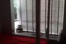 近文庆MRT&NUS 植物园校区 公寓大普通房出租