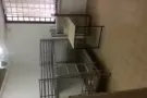 实龙岗中心普通女搭房及普通房整间出租
