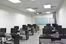 想要在3到6个月内学好英语的请点入
