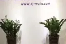 中国至新加坡10年空海运门到门，包清关，包派送 一手大庄 400RMB每立方
