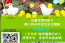 工作简单容易上手，不会教到会，免费询问