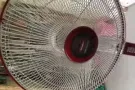 插线板 台灯 电磁炉  全身镜  热水壶  遥控电风扇 打印机  盛港