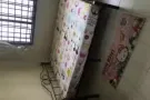yishun388普通房出租 包水电网可以煮 没有屋主 非中介。2-3人均可 