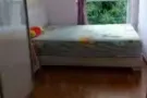 海军部新公寓小主人房出租