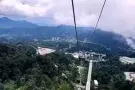 急需一张无实名新加坡电话卡