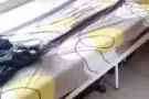 全套家私便宜出售Whole set home furniture sale