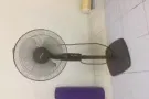 便宜转风扇九成新（10新币）