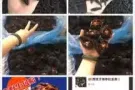 西班牙进口海参。原产地工厂原装货源，原生态野生无污染深海海参