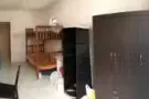 ★淡滨尼81街，淡马锡工院对面，大普通房出租★