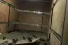 专业搬家服务  带工人 速度快 收费合理  大小搬家 清理垃圾81695999