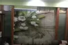 屏风转让，九成新