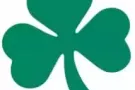 武吉巴督经验丰富老师教授英文