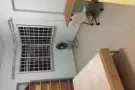 兀兰图书馆对面，到地铁站7分钟， 随时可以搬