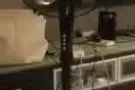 九层新的电风扇