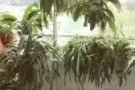 金文泰高层带单独专属卫浴普通房或主人房出租——超近公交总站、地铁站、NUS国大