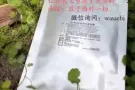 DR SUNG抗老面膜，走出你我的第一步！