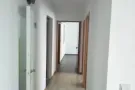 专业室内粉刷，门窗厨柜油漆，各式屋顶墙面损坏，房门损坏掉色。