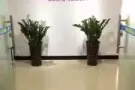 海运到新加坡，家具电器机械淘宝商品双清关到门