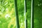 找换工作我们是认真的，微信:ls7347086